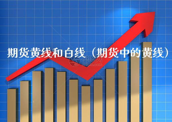 期货黄线和白线（期货中的黄线）