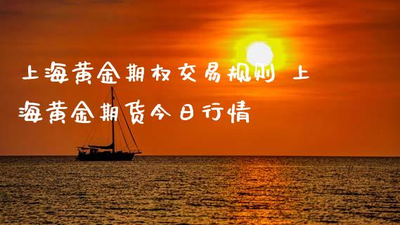 上海黄金期权交易规则 上海黄金期货今日行情_https://www.boyangwujin.com_期货直播间_第1张