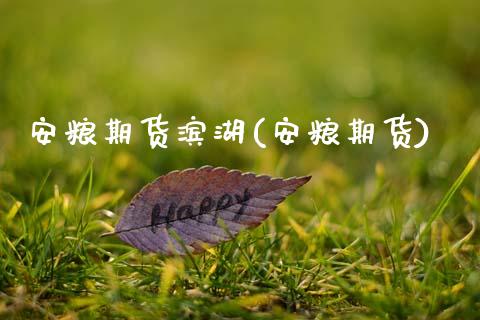 安粮期货滨湖(安粮期货)_https://www.boyangwujin.com_期货直播间_第1张