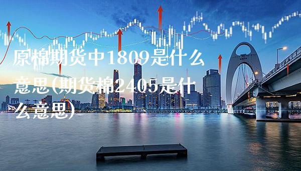 原棉期货中1809是什么意思(期货棉2405是什么意思)_https://www.boyangwujin.com_白银期货_第1张