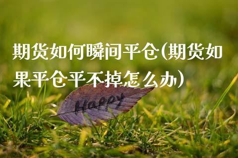 期货如何瞬间平仓(期货如果平仓平不掉怎么办)_https://www.boyangwujin.com_恒生指数_第1张