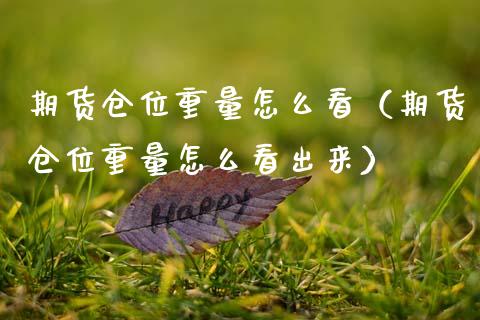 期货仓位重量怎么看（期货仓位重量怎么看出来）_https://www.boyangwujin.com_期货直播间_第1张