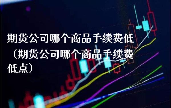 期货公司哪个商品手续费低（期货公司哪个商品手续费低点）_https://www.boyangwujin.com_期货直播间_第1张