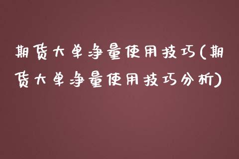 期货大单净量使用技巧(期货大单净量使用技巧分析)