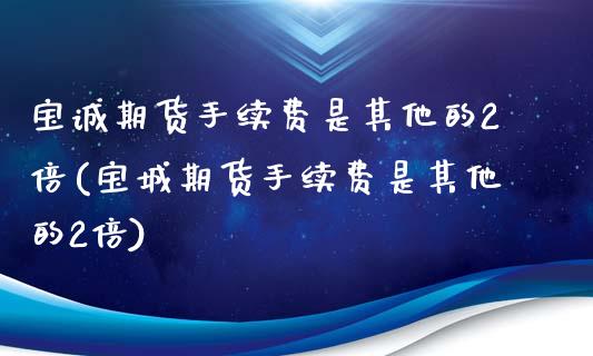 宝诚期货手续费是其他的2倍(宝城期货手续费是其他的2倍)_https://www.boyangwujin.com_期货开户_第1张