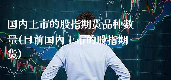 国内上市的股指期货品种数量(目前国内上市的股指期货)_https://www.boyangwujin.com_期货直播间_第1张