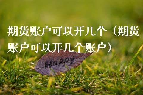 期货账户可以开几个（期货账户可以开几个账户）_https://www.boyangwujin.com_道指期货_第1张