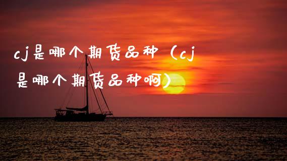 cj是哪个期货品种（cj是哪个期货品种啊）