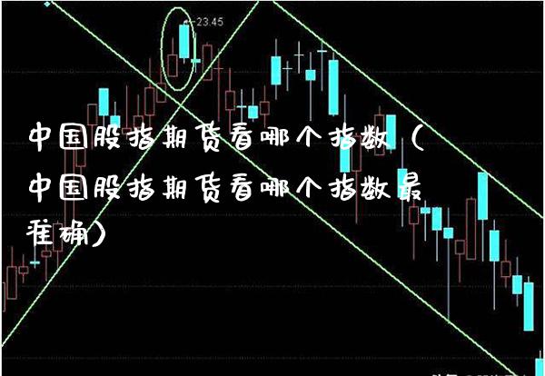 中国股指期货看哪个指数（中国股指期货看哪个指数最准确）