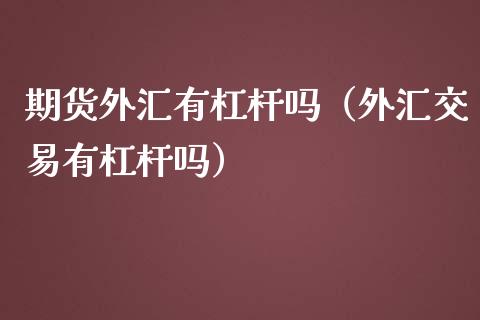 期货外汇有杠杆吗（外汇交易有杠杆吗）_https://www.boyangwujin.com_恒生指数_第1张
