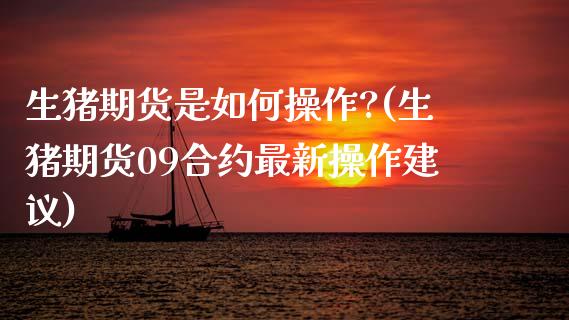 生猪期货是如何操作?(生猪期货09合约最新操作建议)_https://www.boyangwujin.com_期货直播间_第1张