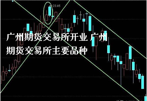 广州期货交易所开业 广州期货交易所主要品种_https://www.boyangwujin.com_期货直播间_第1张