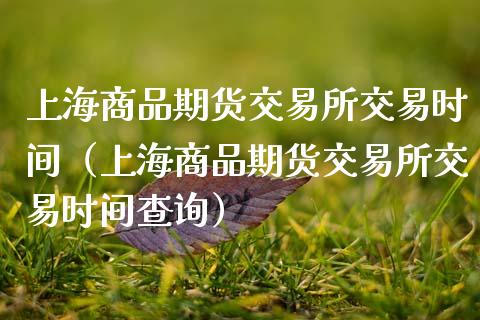 上海商品期货交易所交易时间（上海商品期货交易所交易时间查询）_https://www.boyangwujin.com_黄金期货_第1张