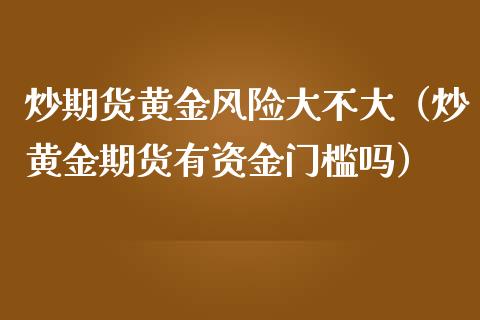 炒期货黄金风险大不大（炒黄金期货有资金门槛吗）_https://www.boyangwujin.com_期货直播间_第1张