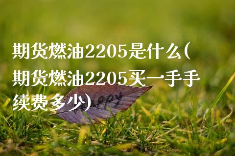 期货燃油2205是什么(期货燃油2205买一手手续费多少)
