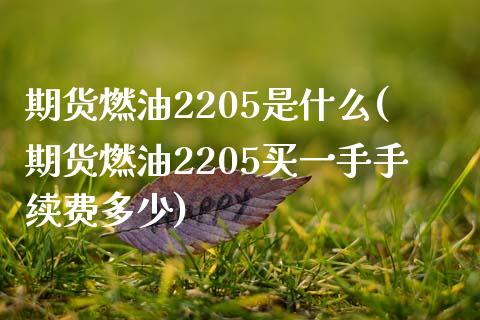 期货燃油2205是什么(期货燃油2205买一手手续费多少)_https://www.boyangwujin.com_原油期货_第1张