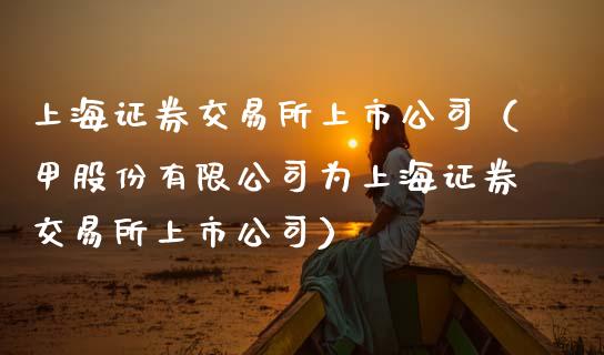 上海证券交易所上市公司（甲股份有限公司为上海证券交易所上市公司）_https://www.boyangwujin.com_期货直播间_第1张