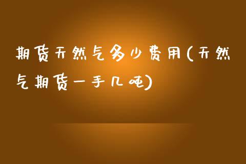 期货天然气多少费用(天然气期货一手几吨)_https://www.boyangwujin.com_期货直播间_第1张