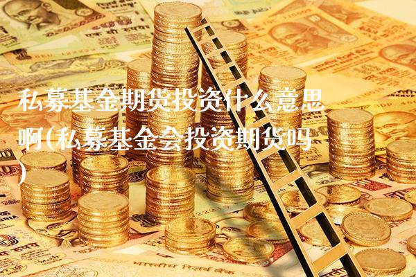 私募基金期货投资什么意思啊(私募基金会投资期货吗)