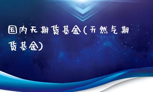 国内无期货基金(天然气期货基金)_https://www.boyangwujin.com_恒指期货_第1张