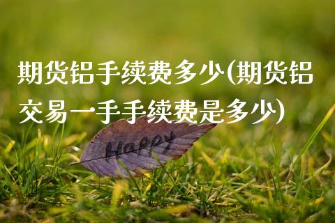 期货铝手续费多少(期货铝交易一手手续费是多少)_https://www.boyangwujin.com_白银期货_第1张
