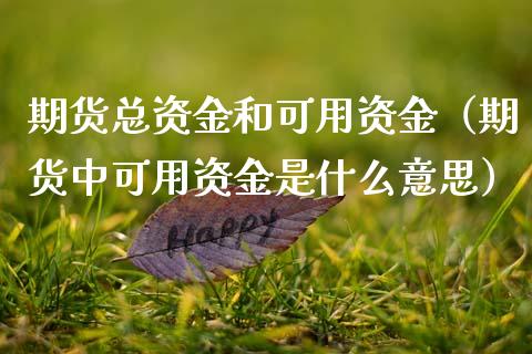 期货总资金和可用资金（期货中可用资金是什么意思）_https://www.boyangwujin.com_黄金期货_第1张