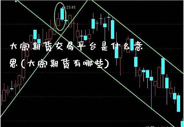 大宗期货交易平台是什么意思(大宗期货有哪些)_https://www.boyangwujin.com_原油期货_第1张