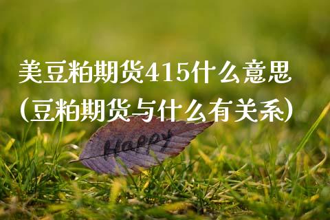 美豆粕期货415什么意思(豆粕期货与什么有关系)_https://www.boyangwujin.com_期货科普_第1张