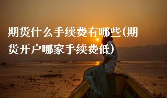 期货什么手续费有哪些(期货开户哪家手续费低)_https://www.boyangwujin.com_期货开户_第1张