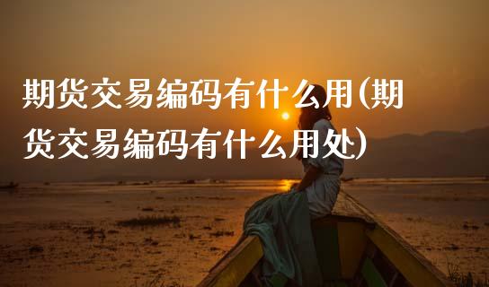 期货交易编码有什么用(期货交易编码有什么用处)_https://www.boyangwujin.com_纳指期货_第1张