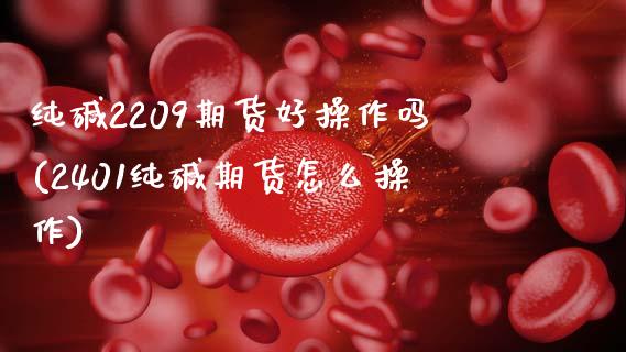 纯碱2209期货好操作吗(2401纯碱期货怎么操作)_https://www.boyangwujin.com_期货直播间_第1张