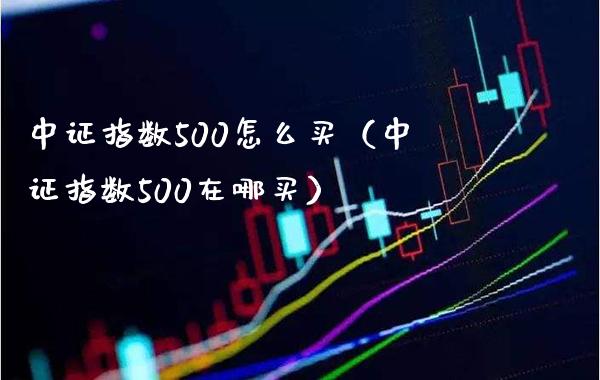 中证指数500怎么买（中证指数500在哪买）_https://www.boyangwujin.com_黄金期货_第1张