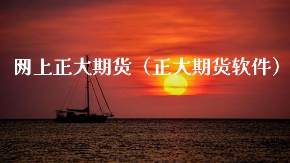 网上正大期货（正大期货软件）