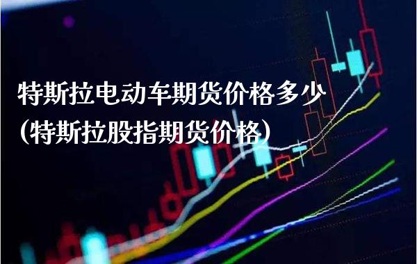 特斯拉电动车期货价格多少(特斯拉股指期货价格)