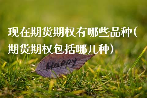 现在期货期权有哪些品种(期货期权包括哪几种)_https://www.boyangwujin.com_期货开户_第1张