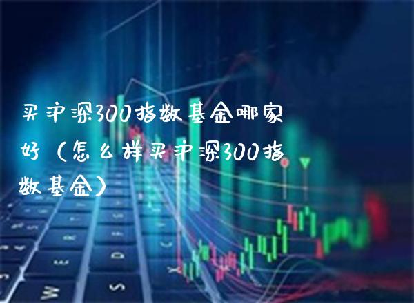 买沪深300指数基金哪家好（怎么样买沪深300指数基金）_https://www.boyangwujin.com_纳指期货_第1张