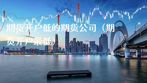 期货开户低的期货公司（期货开户最低）_https://www.boyangwujin.com_期货直播间_第1张