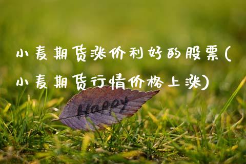 小麦期货涨价利好的股票(小麦期货行情价格上涨)