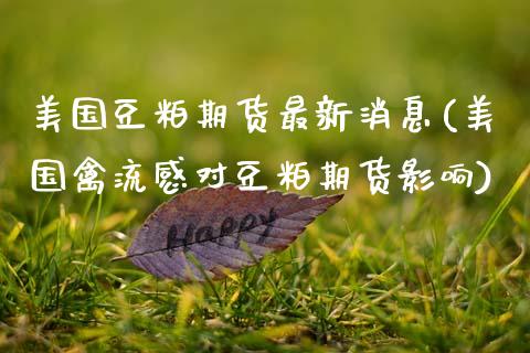 美国豆粕期货最新消息(美国禽流感对豆粕期货影响)