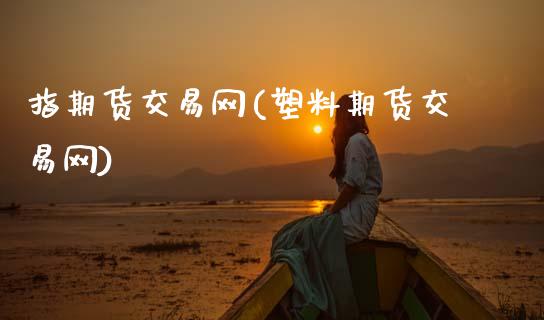 指期货交易网(塑料期货交易网)