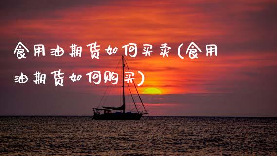 食用油期货如何买卖(食用油期货如何购买)_https://www.boyangwujin.com_原油直播间_第1张