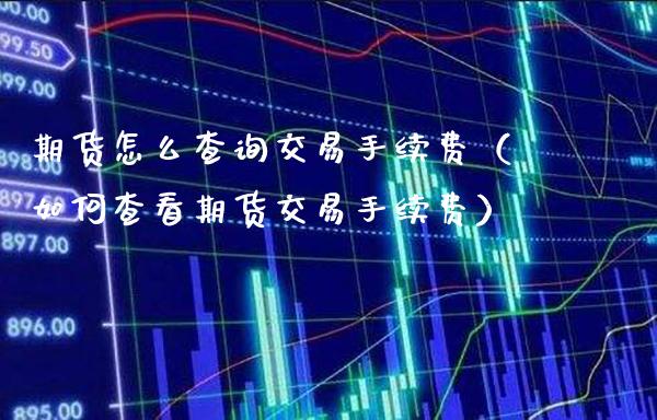 期货怎么查询交易手续费（如何查看期货交易手续费）