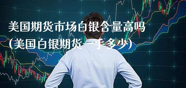 美国期货市场白银含量高吗(美国白银期货一手多少)_https://www.boyangwujin.com_原油直播间_第1张