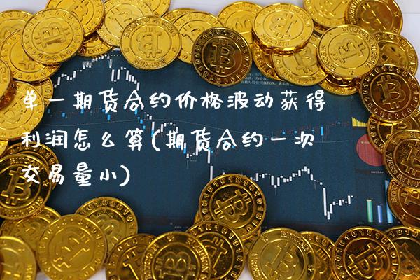 单一期货合约价格波动获得利润怎么算(期货合约一次交易量小)_https://www.boyangwujin.com_纳指期货_第1张