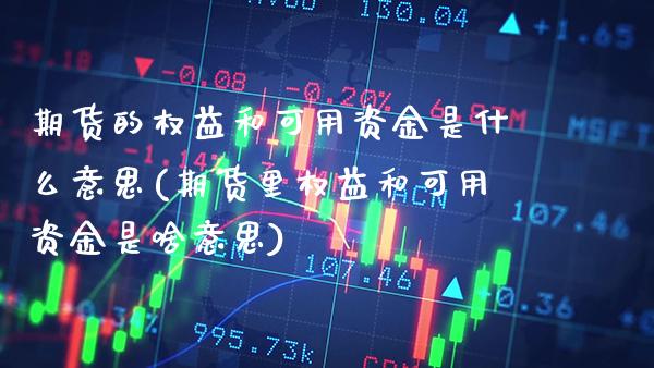 期货的权益和可用资金是什么意思(期货里权益和可用资金是啥意思)_https://www.boyangwujin.com_纳指期货_第1张