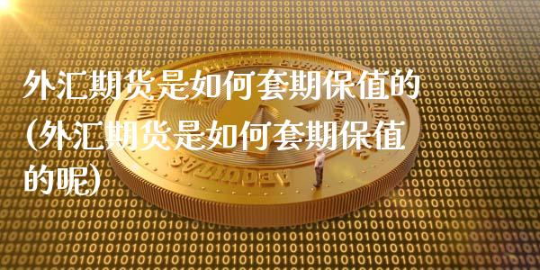 外汇期货是如何套期保值的(外汇期货是如何套期保值的呢)_https://www.boyangwujin.com_黄金期货_第1张