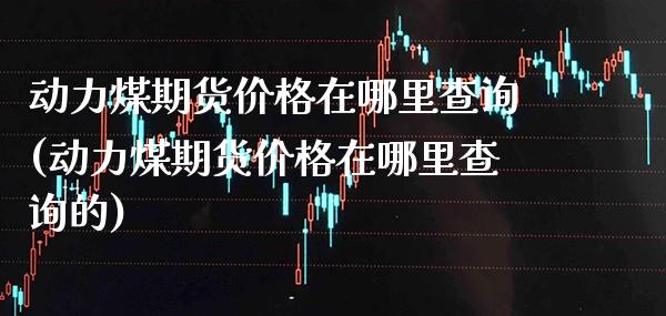 动力煤期货价格在哪里查询(动力煤期货价格在哪里查询的)