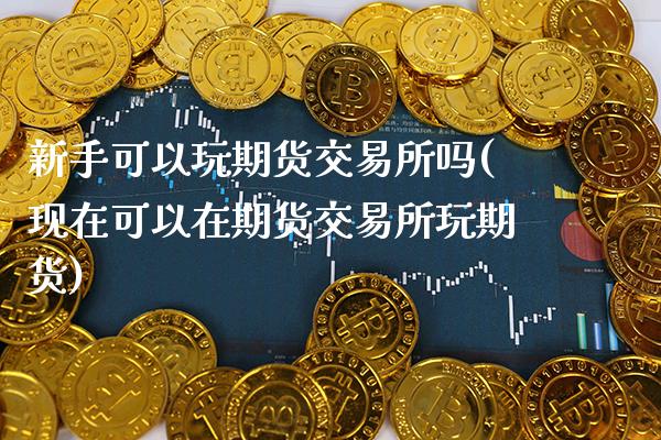 新手可以玩期货交易所吗(现在可以在期货交易所玩期货)