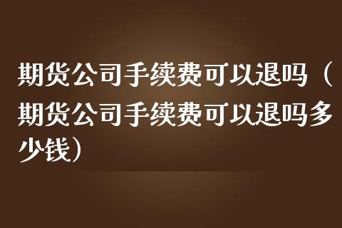 期货公司手续费可以退吗（期货公司手续费可以退吗多少钱）