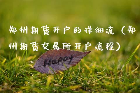 郑州期货开户的详细流（郑州期货交易所开户流程）